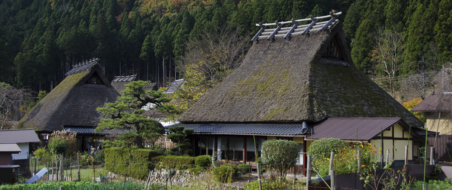 El Japón más sostenible se abre camino